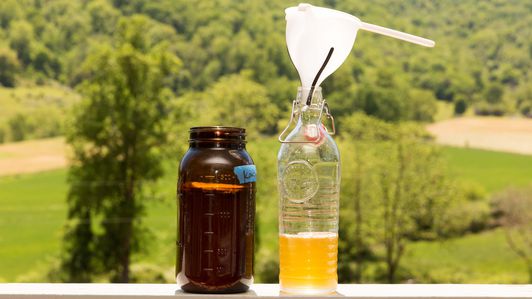 How to make healthy probiotic Kombucha for cheap at home