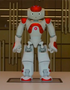 NAO Social Robot