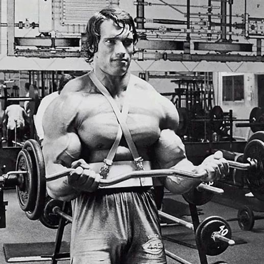 Arnold Schwarzenegger Curls