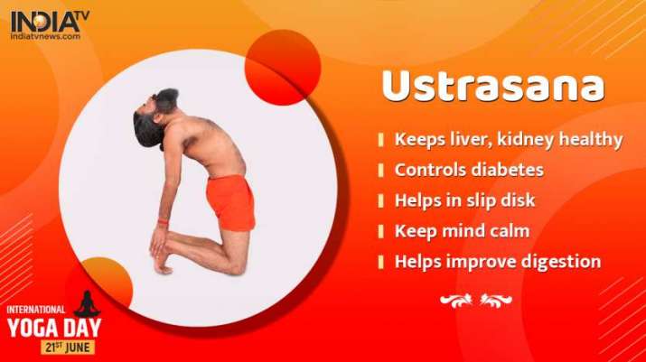 India Tv - Benefits of Ustrasana