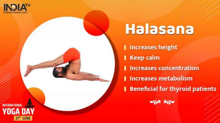 India Tv - Benefits of Halasana