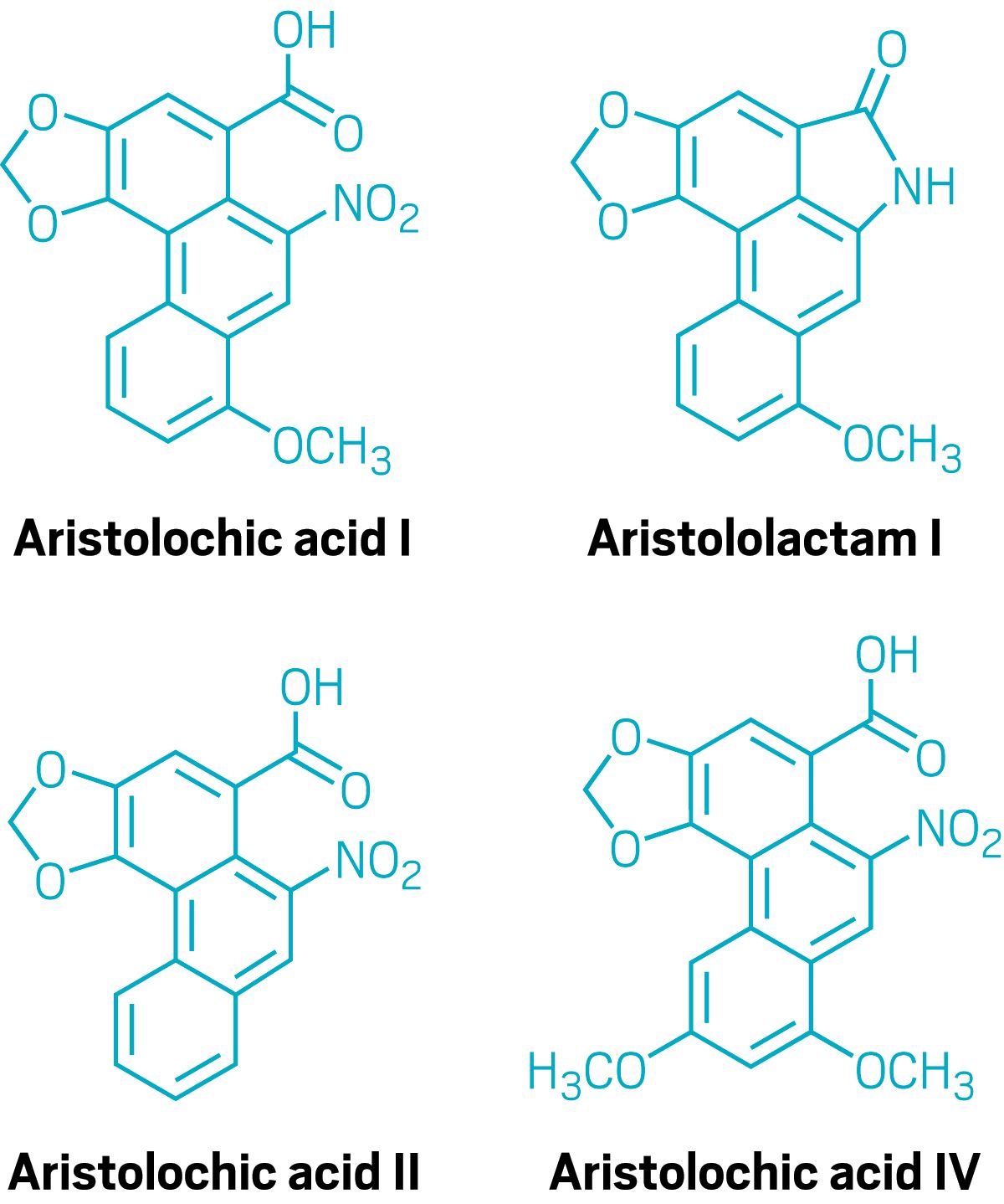 09830-feature1-aristolo.jpg