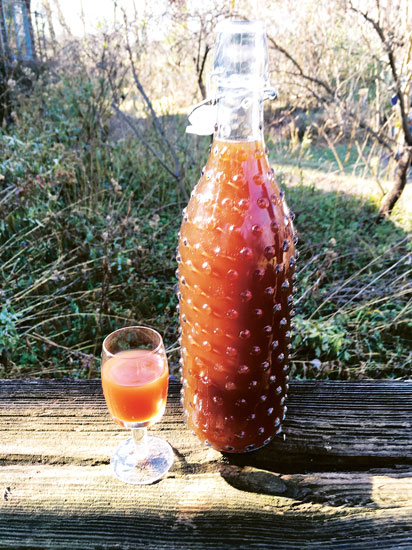 homemade-fire-cider